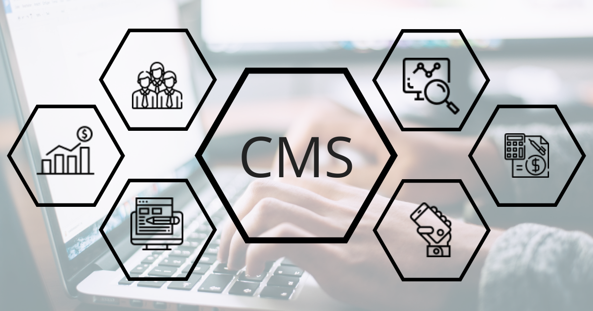 How-to-Get-More-Profits-from-Your-Website-Using-a-CMS